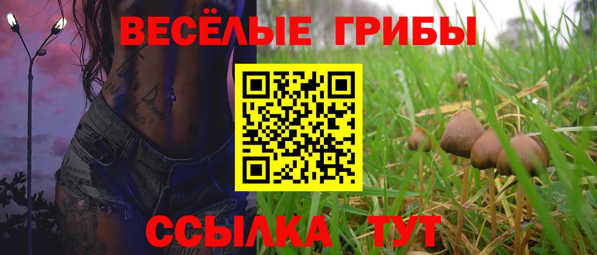 Псилоцибиновые грибы Magic Shrooms  Вход с VPN  Аргун 