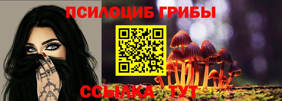 Псилоцибиновые грибы Psilocybe Аргун